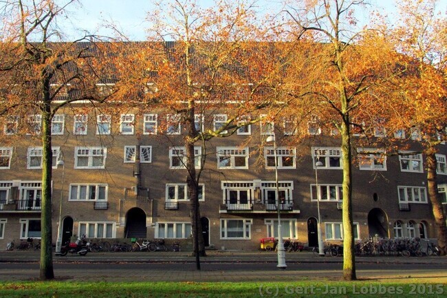 Gevel Apollolaan.
<br/>
Gert-Jan Lobbes, 2015